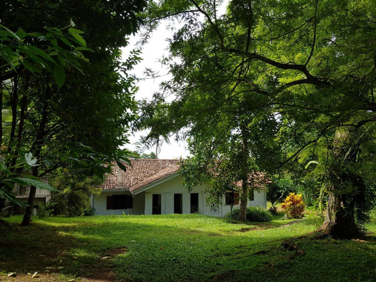 Hôtel Chitra Ayurveda à Bentota Extérieur photo