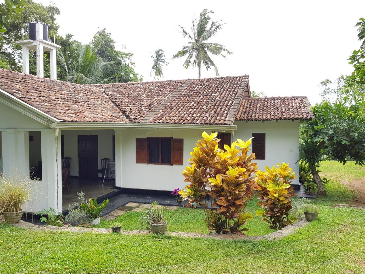 Hôtel Chitra Ayurveda à Bentota Extérieur photo